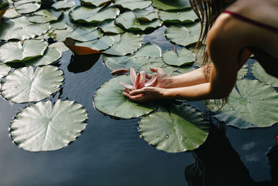 Low section of woman holding leaves