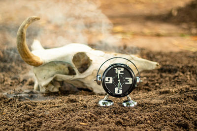 Close-up of clock on land