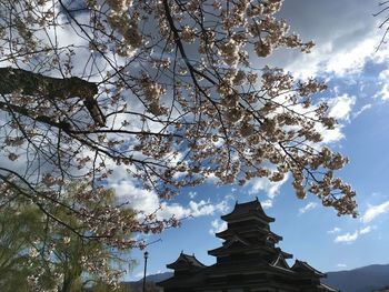 Low angle view of cherry blossoms in building against sky