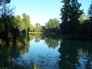 Reflection of trees in lake against clear sky