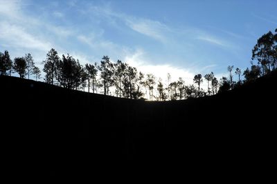 Low angle view of silhouette trees against sky