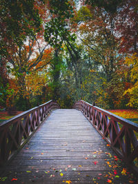 Footbridge amidst trees during autumn