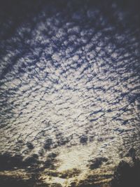 Low angle view of tree against sky