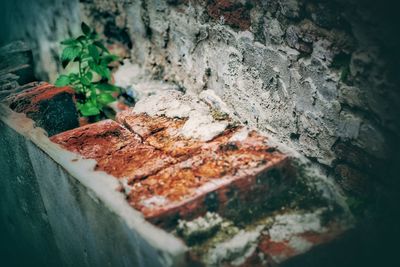 High angle view of rocks on wall