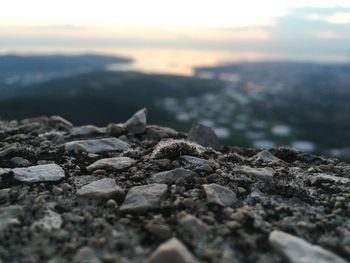 Surface level of rocks on land against sky