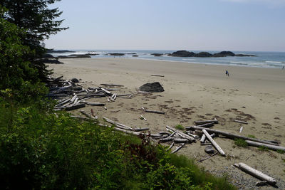 Scenic view of beach against clear sky