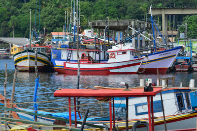 Boats moored in harbor