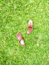 Shoes on grass