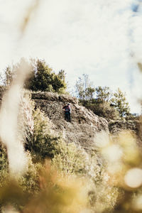 Low angle view of man against trees