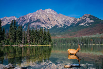 Scenic view of lake by mountains against sky