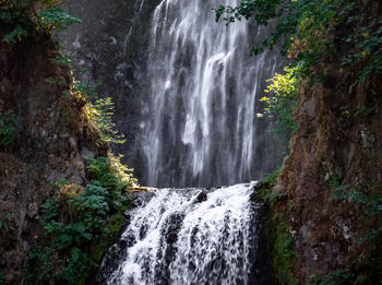 Scenic view of waterfall in forest