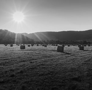 Scenic view of field against bright sun