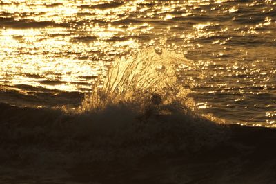 Scenic view of sea at sunset