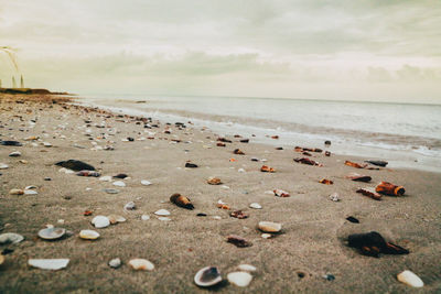 Pebbles on beach against sky