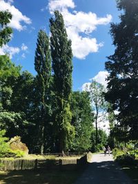 Low angle view of trees against sky