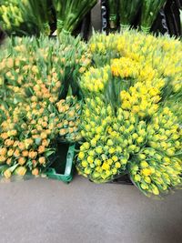 Yellow flowers for sale in market