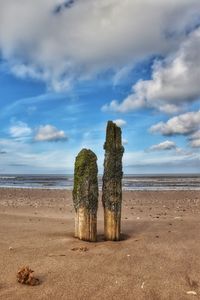 Palm trees on beach against sky