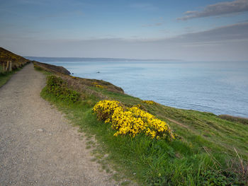 Coast path at westward ho 