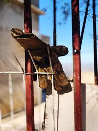 Close-up of bird perching on metal pole