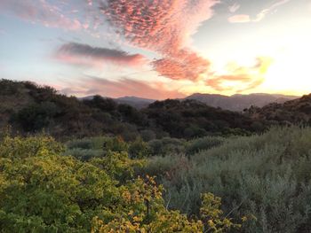 Scenic view of landscape against sky at sunset