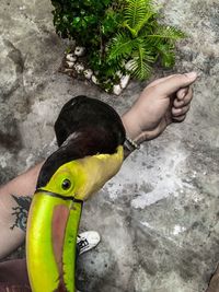 High angle view of man holding yellow leaf