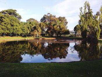 Scenic view of lake by trees against sky