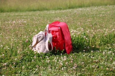 Side view of  bags on field