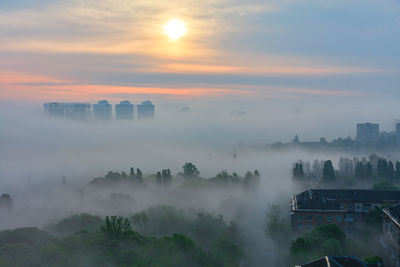 A thick fog, like duvet, spreads early in the morning between the houses and trees of the city park