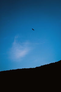 Low angle view of silhouette bird flying in sky