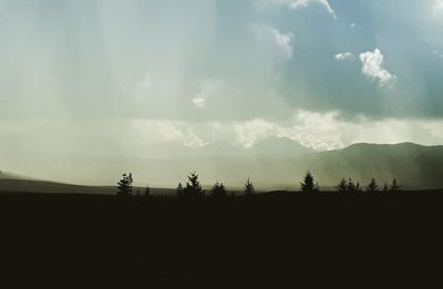 Silhouette trees on field against sky