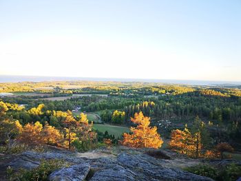 Scenic view of landscape against clear sky during autumn