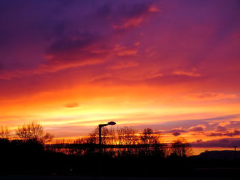 Silhouette of trees at sunset