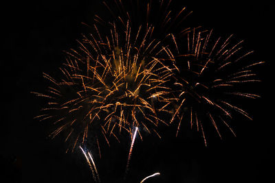 Low angle view of firework display at night