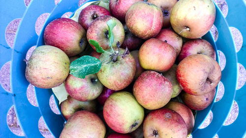 High angle view of fruits