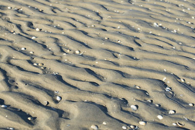 Full frame shot of wet sand