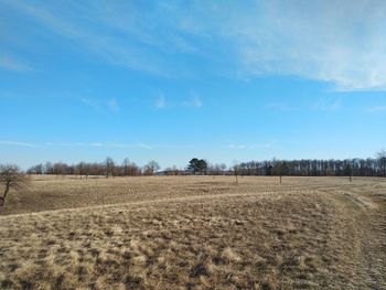 Scenic view of field against sky