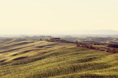 Scenic view of agricultural field against clear sky