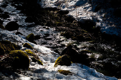 High angle view of rocks by sea