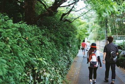 Rear view of man and woman walking by trees on footpath