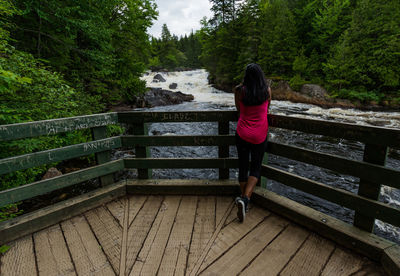 Rear view of woman standing by railing in forest
