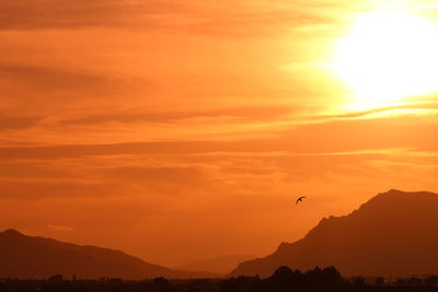 Scenic view of orange sky