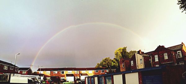 Rainbow over trees