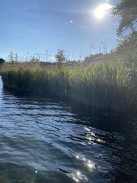 Scenic view of river against sky