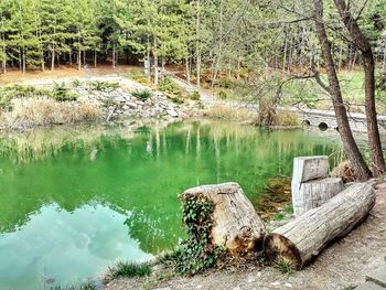 Scenic view of lake by trees