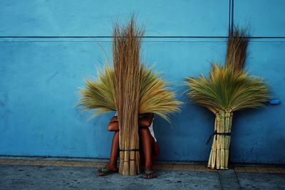 Person hiding behind brooms against wall