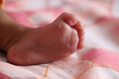 Low section of baby feet