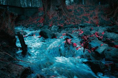 Scenic view of river flowing through rocks