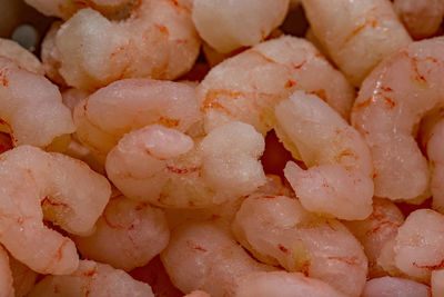 Close up of frozen prawns