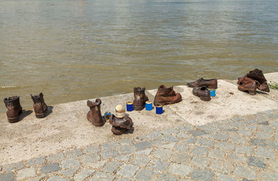 High angle view of birds on beach
