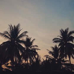 Silhouette palm trees against sky during sunset